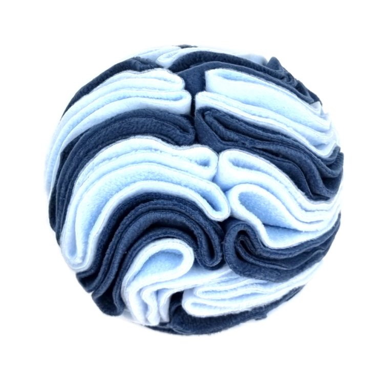 kula węchowa niebieska.png